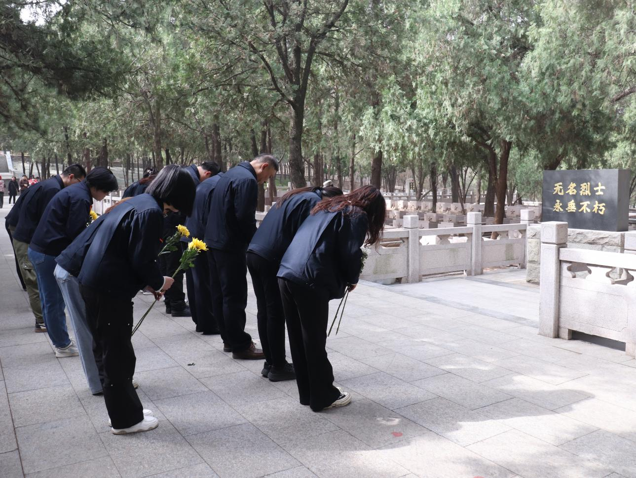 3118�ƶ�����(�й���)�ٷ���վ