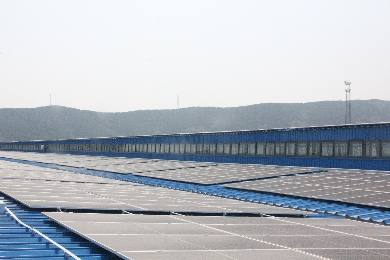 3118云顶集团(中国区)官方网站